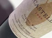 Uncastellum 2009 D.O. Ribera Gállego Cinco Villas