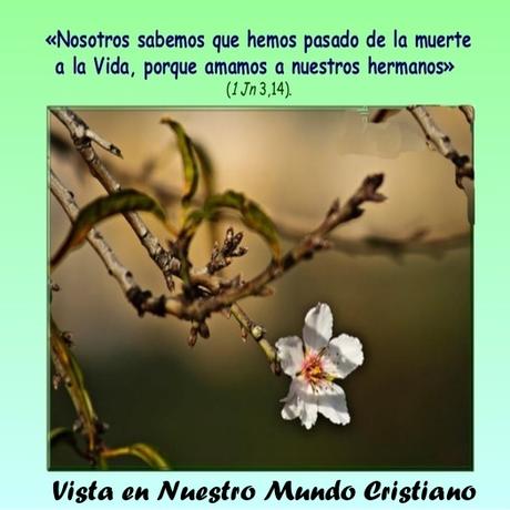 Perdonar, primer paso para disfrutar de paz interior