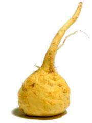 FITOTERAPIA PARA LA MUJER