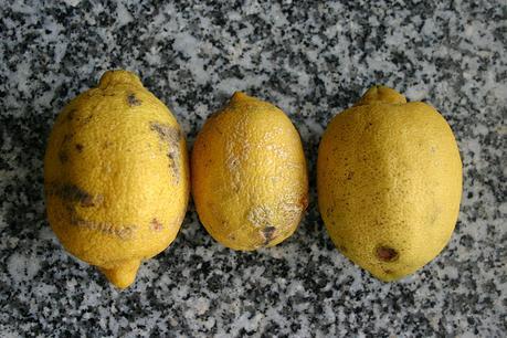 detalles_40_20120809 - Version 2