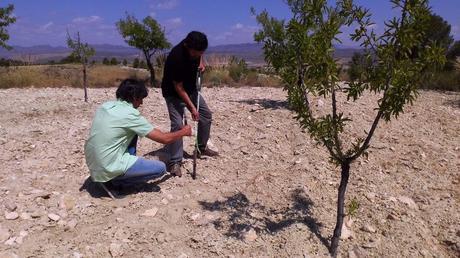 Replanteo vivienda geodésica Jumilla Replanteo 01