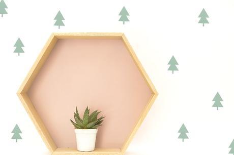 Regalo concurso instagram verano 2015 naturaleza bella umbilical esturirafi