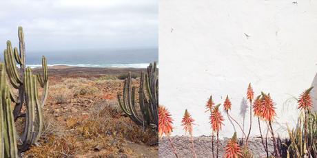 Concurso instagram verano 2015 naturaleza bella umbilical esturirafi