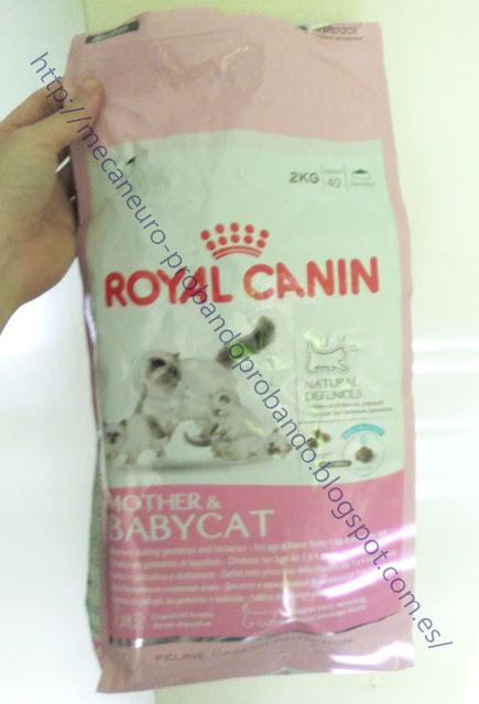 Royal Canin Mother & Babycat pienso para gatitos cachorros