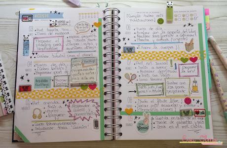 Decoración de mi agenda Mr. Wonderful