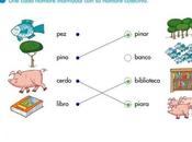 nombre individual colectivo: grado