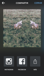 Descubre Layout e Hyperlapse y te convertirás en un verdadero Instagramer. Compartir - Layout