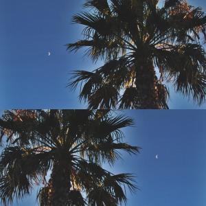 Descubre Layout e Hyperlapse y te convertirás en un verdadero Instagramer. Imagen editada 2 - Layout