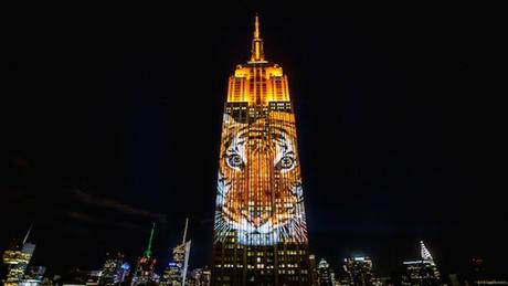 Proyecciones sobre el Empire State para ayudar a los animales en peligro de extinción
