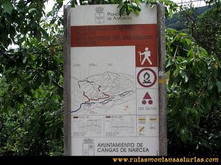Ruta Bosques Moal, Cangas del Narcea