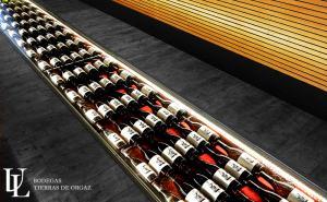 ENTREVISTA A CARLOS GLADON, GERENTE DE LAS BODEGAS DE TIERRAS DE ORGAZ tierraorgaz