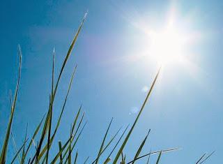 Descubre el tiempo que va a hacer en Almadén