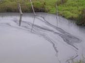 Termoeléctrica está envenenando Tamuín, Luis Potosí