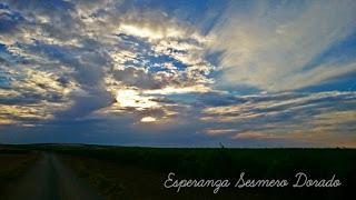 AMANECER EN UN VIÑEDO