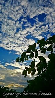 AMANECER EN UN VIÑEDO