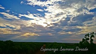 AMANECER EN UN VIÑEDO