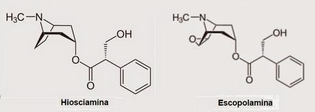 stick molecules hyosciamine scopolamine