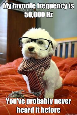 hipster dog meme