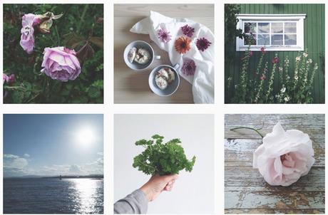 Concurso instagram naturaleza bella #ConcursoNaturalezaBella Esturirafi Umbilical Inspiracion Instagram Verano lailapompel