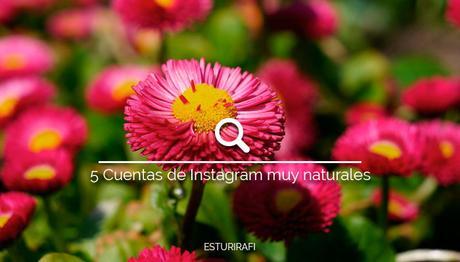 5 Cuentas de Instagram muy naturales