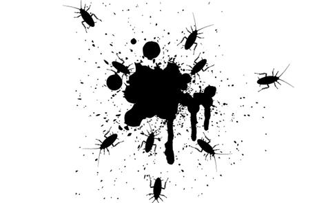 hisal. empresa de fumigacion almeria