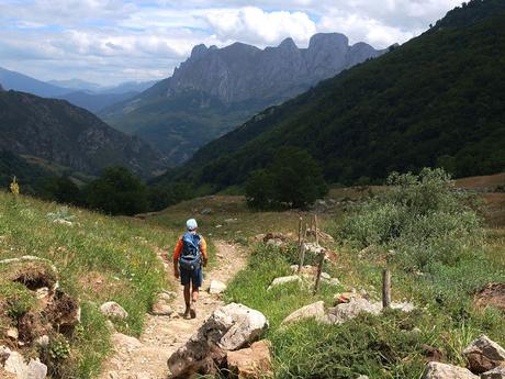 crestón del pasu malu