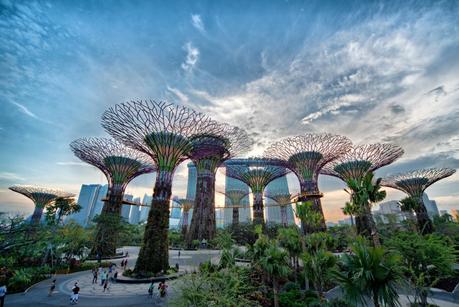 Gardens by the Bay o Jardines de la Bahía