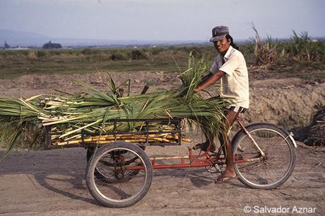 Rutas de viaje por el norte de Perú