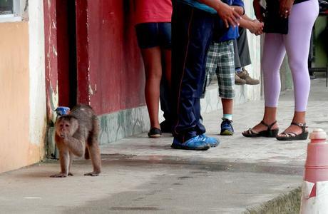 Primeros pasos en el Oriente Primeros pasos en el Oriente