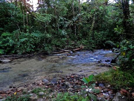Primeros pasos en el Oriente Primeros pasos en el Oriente