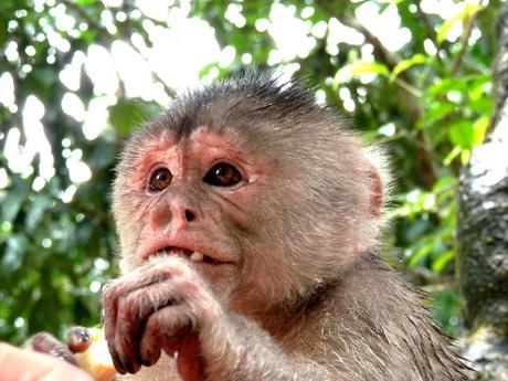 Primeros pasos en el Oriente Primeros pasos en el Oriente