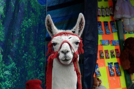 Primeros pasos en el Oriente Primeros pasos en el Oriente