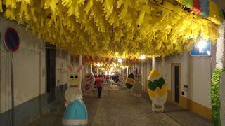 Redondo y sus fantasiosas Ruas Floridashttp://blogs.hoy.e...