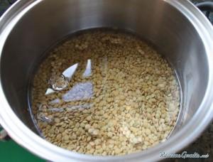 Receta casera para preparar hamburguesa light vegetariana Lentejas