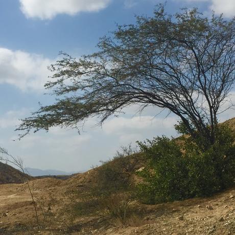 Mi Ruta al Norte - Perú