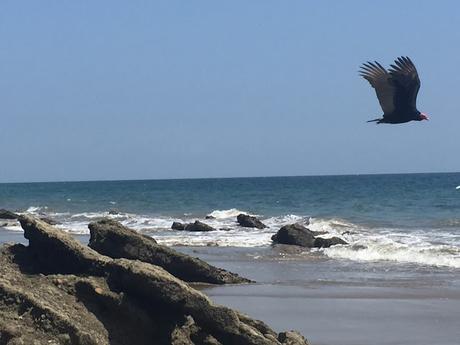 Mi Ruta al Norte - Perú