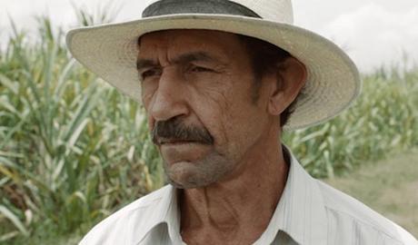 tierra y sombra tierra y sombra