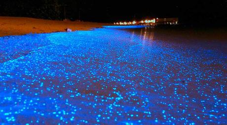 10 de las playas más extrañas del mundo