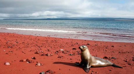 10 de las playas más extrañas del mundo