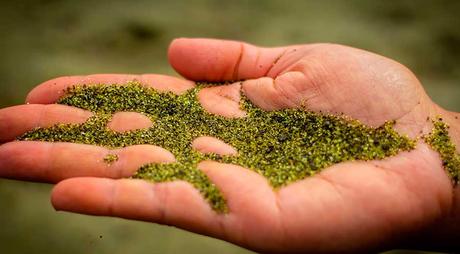 10 de las playas más extrañas del mundo