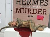 PETA HERMÈS