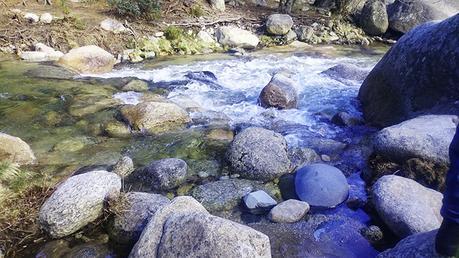 Diario fotográfico: La Pedriza - Días felices