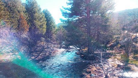 Diario fotográfico: La Pedriza - Días felices