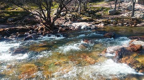 Diario fotográfico: La Pedriza - Días felices
