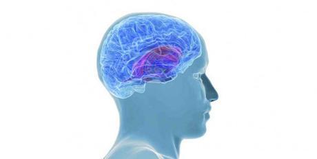 Tal vez la enfermedad de Alzheimer no es inflamatoria, ¿así que cuál es la culpa? Enfermedad de Alzheimer