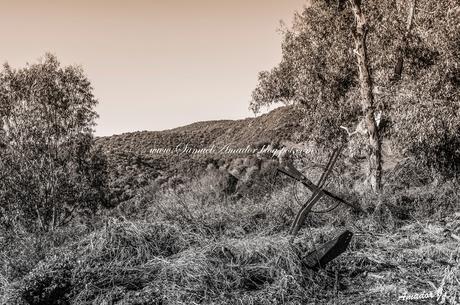 SIERRA DE HORNACHUELOS EN CÓRDOBA