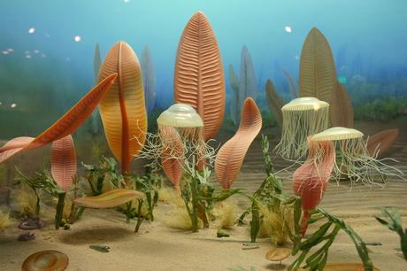 Life in the Ediacaran sea.jpg