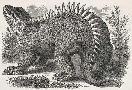 Primeros capítulos de la Paleobiología de dinosaurios (III)