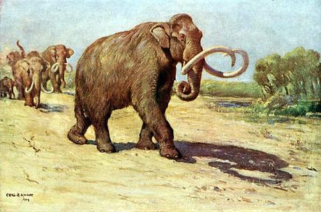 Columbian mammoth