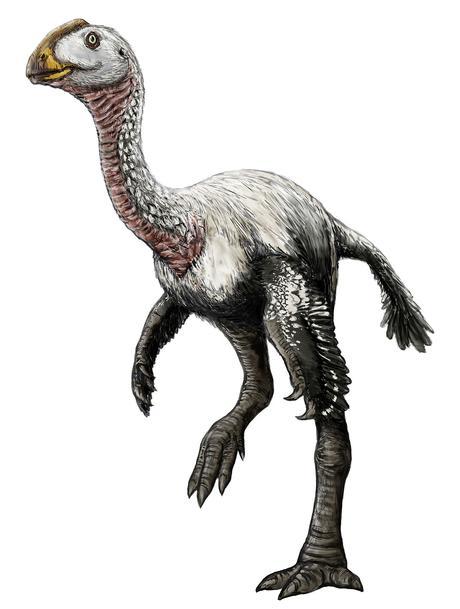 Elmisaurus.jpg